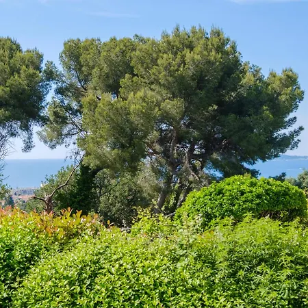 Privee Avec Piscine Villa